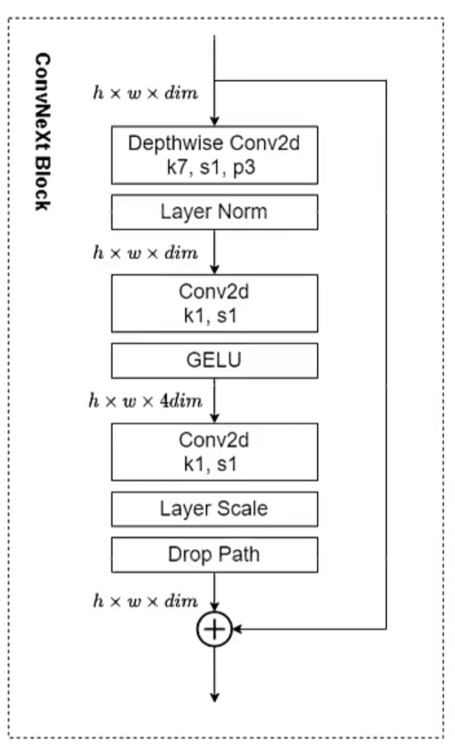 convnext